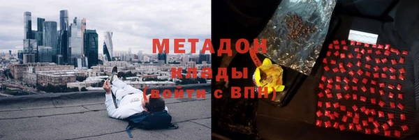 гашик Алексин