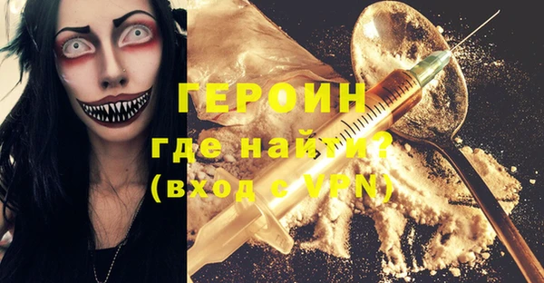 гашик Алексин