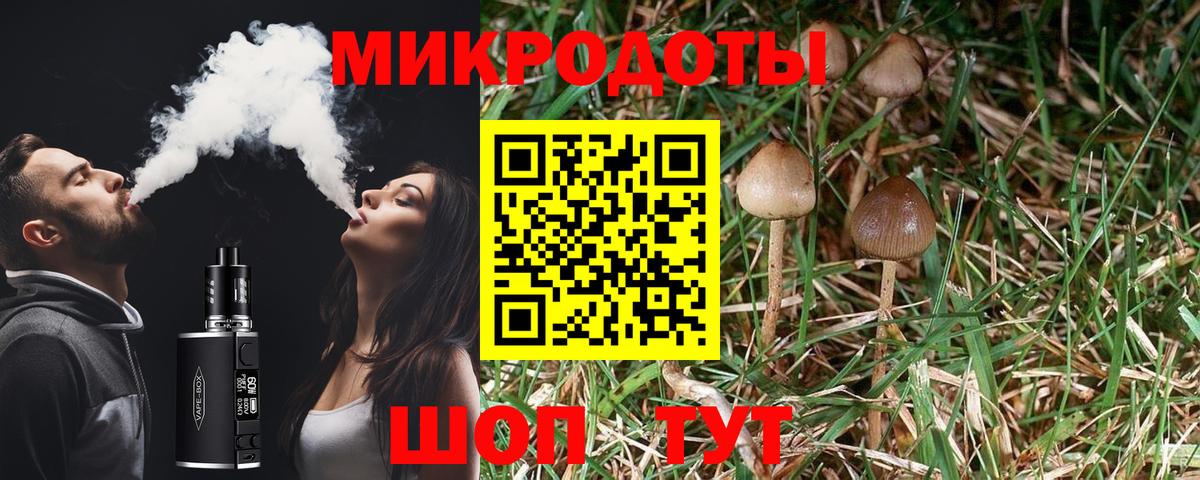 Красногорск  купить наркоту  Вход с VPN  Галлюциногенные грибы мицелий 