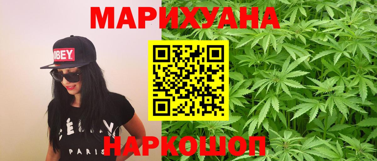 Каннабис сатива Красногорск
